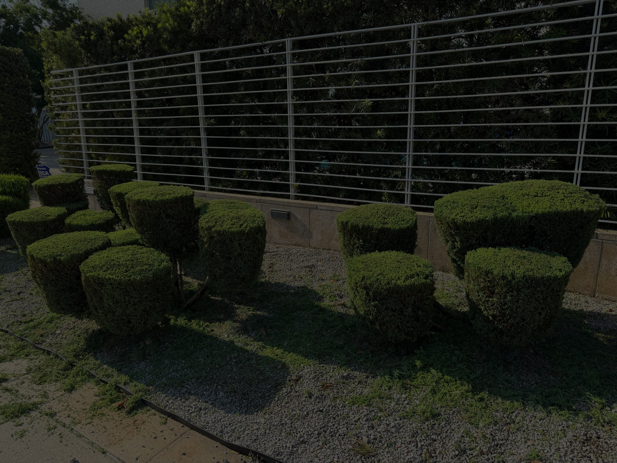 Commercial and Residential Landscape in New Orleands LA, Grass Cutting in New Orleands LA, Clean Gardening in New Orleands LA ( (17)